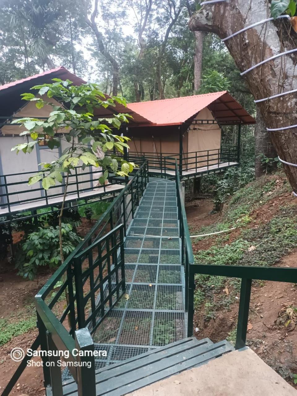 Devi - Plantation Retreat And Forest Getaway Homestay *