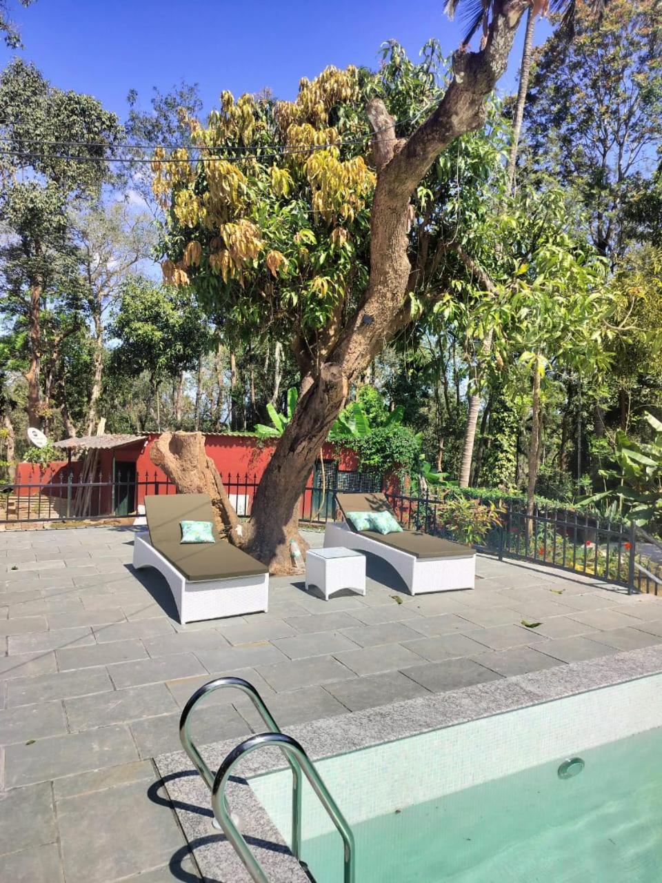 Devi - Plantation Retreat And Forest Getaway Homestay *